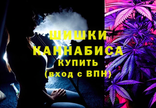 сатива Новодвинск