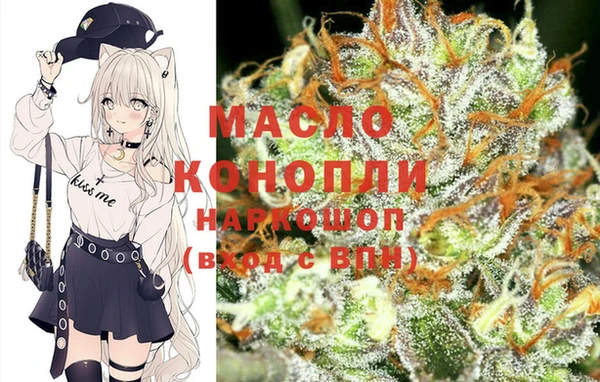 сатива Новодвинск