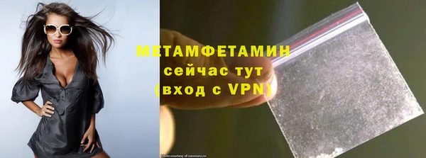 сатива Новодвинск