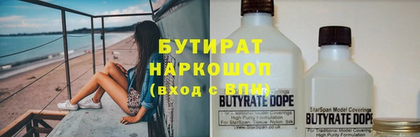 сатива Новодвинск