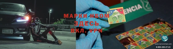 сатива Новодвинск