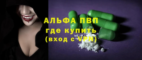 сатива Новодвинск
