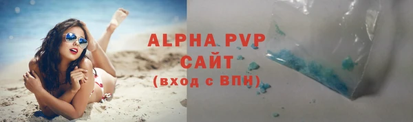 сатива Новодвинск