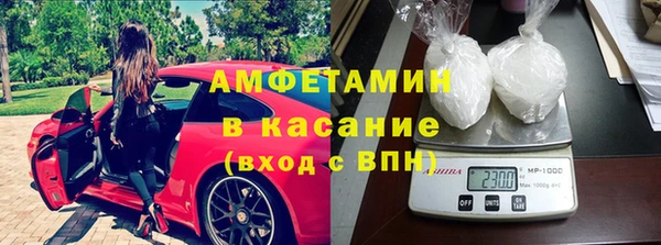 сатива Новодвинск
