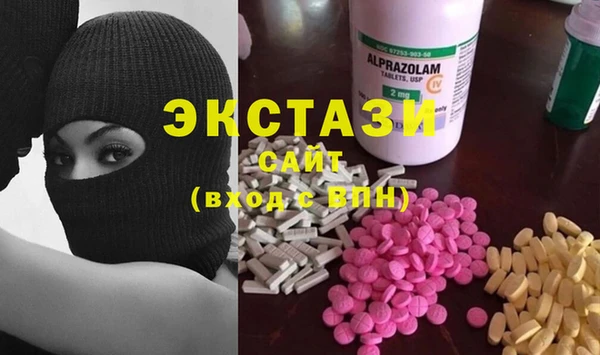сатива Новодвинск