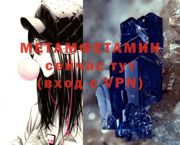 сатива Новодвинск